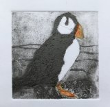 Puffin Handmade Print
