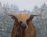 Angus, The Highland Bull by Tony Hughes