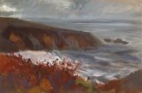 Autumn: Caerfai Bay by Nicola Schoenenberger