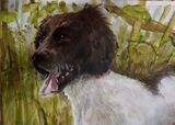 'Best Dog' by Kila Millidine