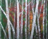 'Birches' by Kila Millidine