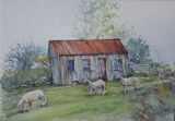 Preseli Hut Preseli Shepherd''s|Hut