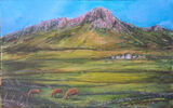 Carn Llidi summer grazing CL SG