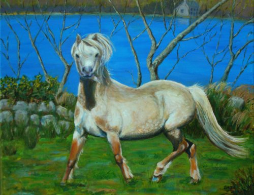 Charlie Wilson's Pony