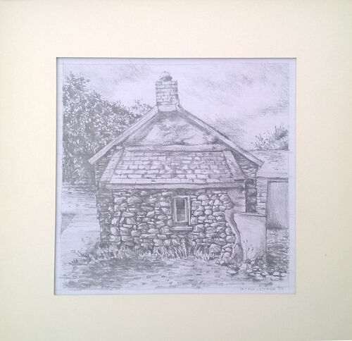 Pembrokeshire Cottage 7