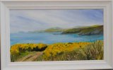 Golden Gorse