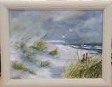 Sand Dunes