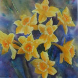 Daffodils by Ruth Coulson