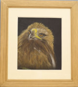 Eagle's Eye by Maggie Humble