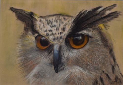 Evil Eyes by Maggie Humble