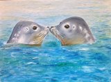Seals with a Kiss by Maureen Evans