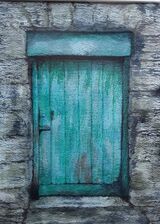 'Green Door' by Kila Millidine