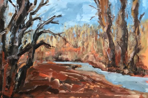 Woodland Stream, St Davids
