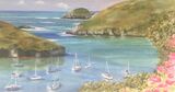 Sunny Solva Harbour by Marian Jones