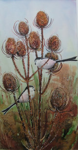 Long-tailed tits by Ruth Coulson