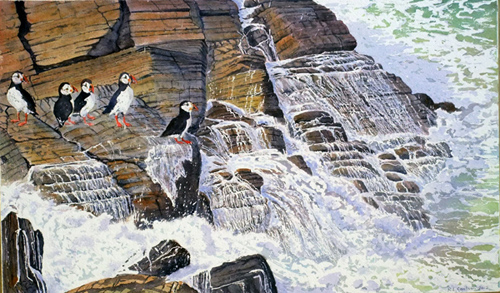 Puffin Parley by Ruth Coulson