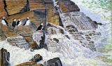 Puffin Parley by Ruth Coulson