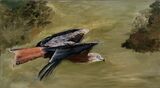 Red Kite by Maggie Humble