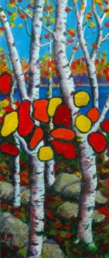 Silver Birches of Canada