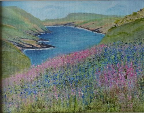 SOLD Skomer by June Anderson