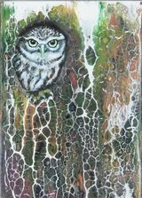 Tawny Owl by Ruth Coulson