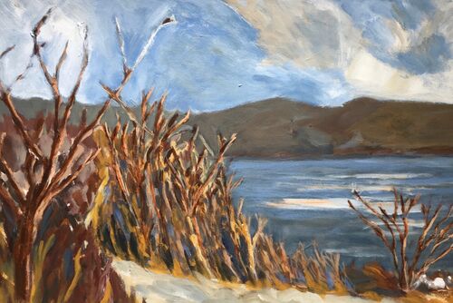 The Patchin, Solva by Nicola Schoenenberger
