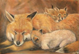 Vixen and cubs