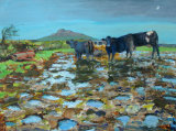 Winter Feeding by Lett Harris