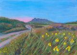 Yellow Flags on the Dowrog
