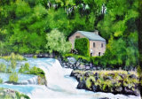Cenarth Mill and Falls By Dave Sims