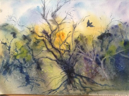 Pembrokeshire Spring, Alison Hemingway