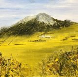 Carn Llidi sold