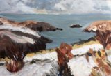 Solva in the Snow by Nicola Schoenenberger