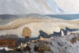 Snowy Gribin by Nicoa Schoenenberger