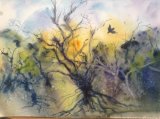 Pembrokeshire Spring, Alison Hemingway