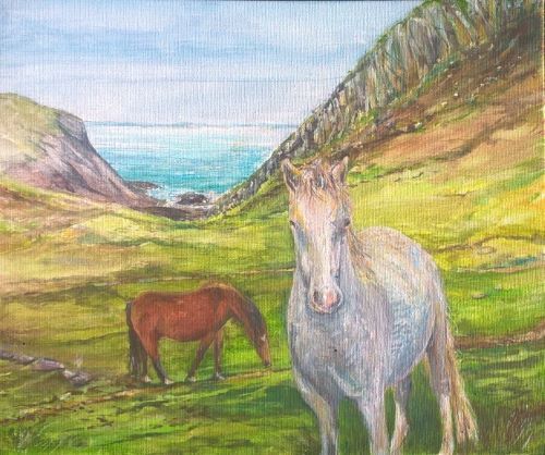Ponies on the Coastpath at Nine Wells by Chris Sherwin