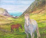Ponies on the Coastpath at Nine Wells by Chris Sherwin