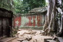 Ta Prohm Temple 3