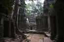 Ta Prohm Temple 4