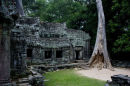 Ta Prohm Temple 1