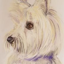 Lucy "lucy a pastel painting by stella maria art of solihull"