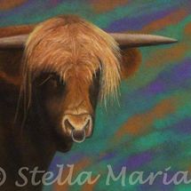 Mr Bull "mr bull pastel painting by stella maria art solihull"