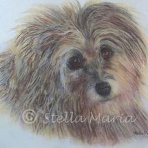 Penny "penny a pastel painting by stella maria art solihull"