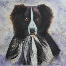 Pepe pepe pastel painting by stella maria art solihull