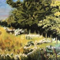Summer Meadow