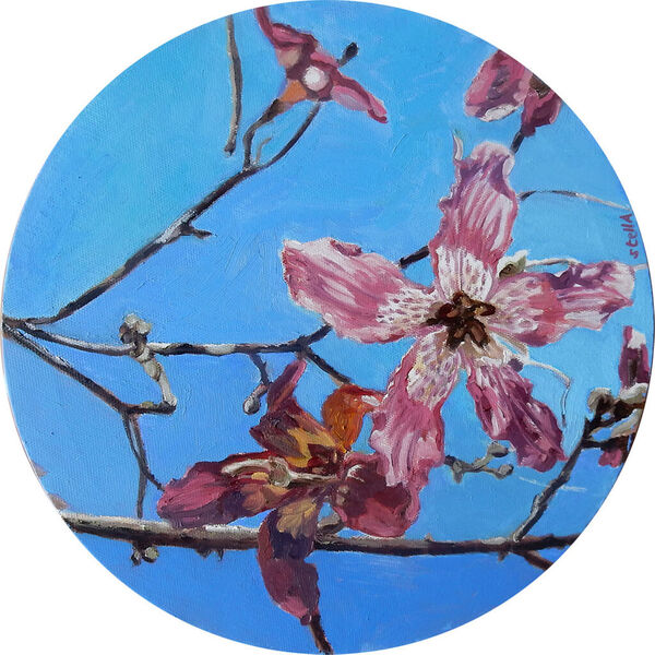 Lillies in oils by Stella Tooth