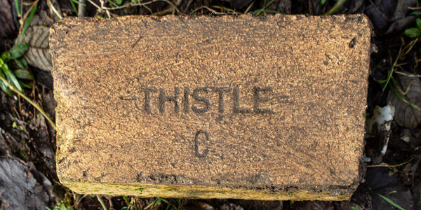 Thistle C Brick.