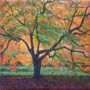Acers, Westonbirt - sold
