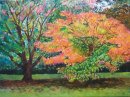 Acer Westonbirt - sold