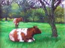 Cattle at Westonbirt - Sold